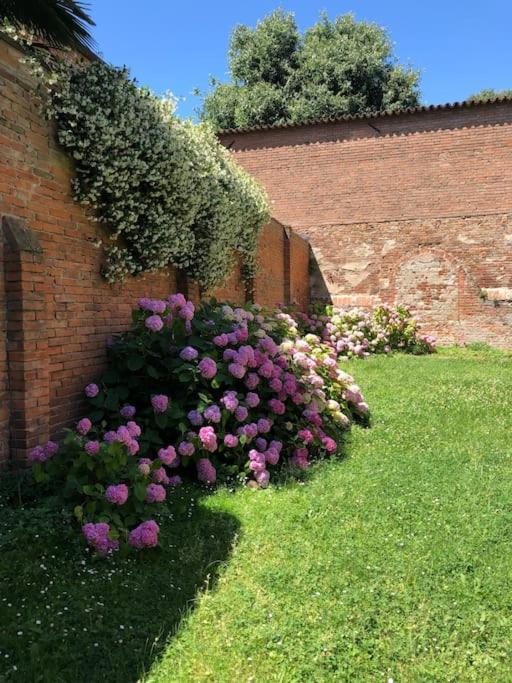 Palazzo Sabbioni Appartamento Lusso Due Camere Soggiorno Cucina Ferrara Exterior photo